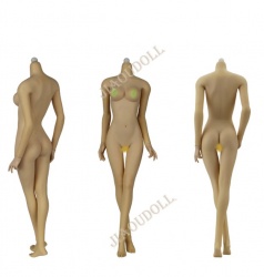 Jiaou Doll Version 3.0 Natural Middle bust for 1/6 action figure 